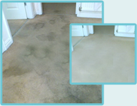 Carpet Steam Cleaning